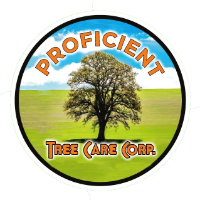 Proficient Tree Care Corp